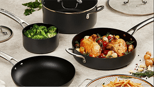 emeril lagasse forever pans reviews 01