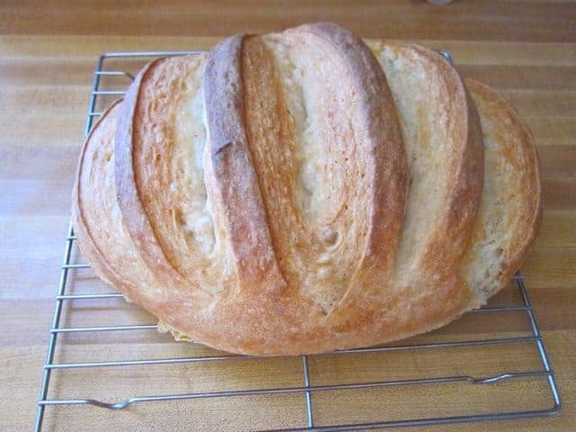 Old No-Knead Loaf baked without Dutch Oven