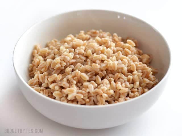 Side view of a bowl full of plain cooked farro
