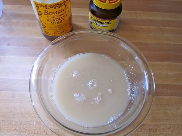 yeast, honey, water in mixing bowl 