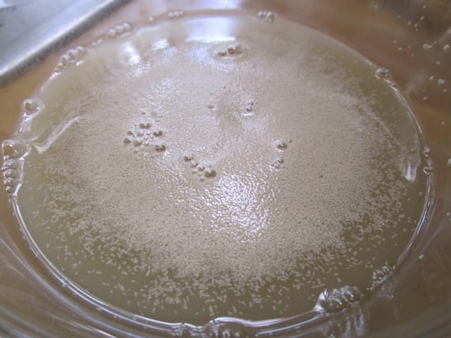 close up of yeast foam 1