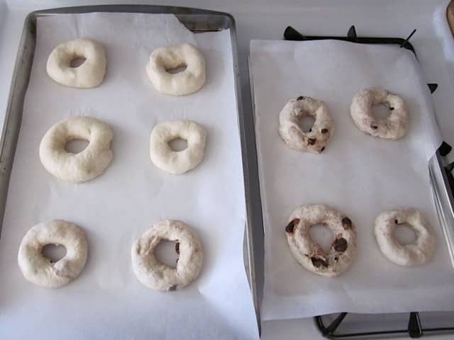 bagels placed on baking sheet with parchment paper rising 