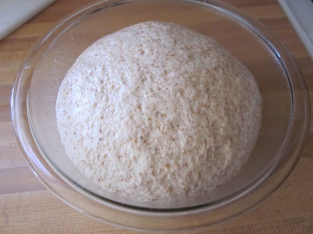 risen ball of dough