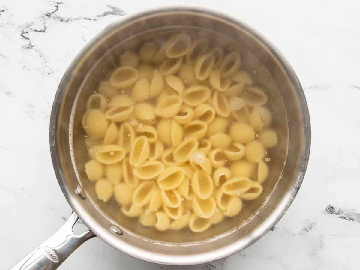 Pasta shells in a pot of water