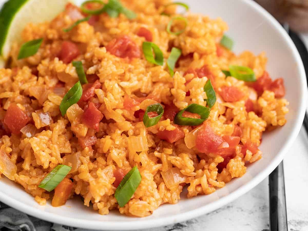Close up side view of a bowl of tomato rice.